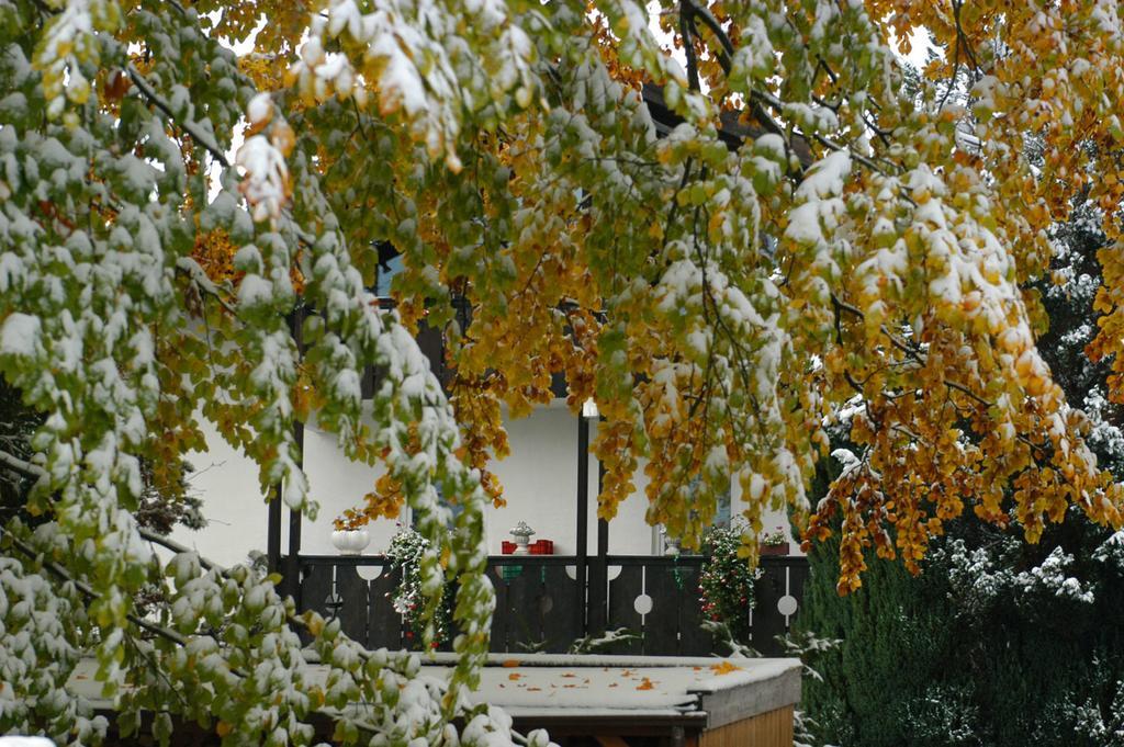 Landhaus Alpenblick Apartment Garmisch-Partenkirchen Exterior photo